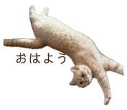 844731818