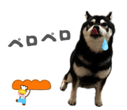 844732074