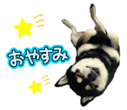844732076