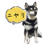 844732080