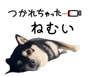 844732088