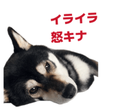 844732090