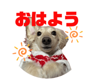 844732433