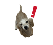 844732448