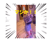844732753