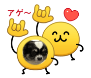 844733697