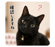 844733966