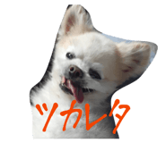 844734519