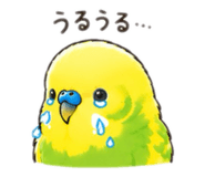 844735256