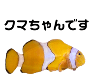 844735355