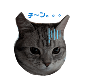 844735485
