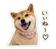 844736061
