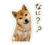 844736063