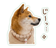 844736066