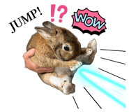 844747042