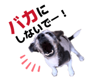 844747124