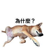844762988