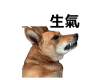 844762998
