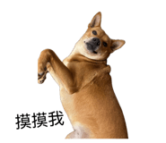 844762999