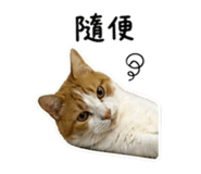 844768912