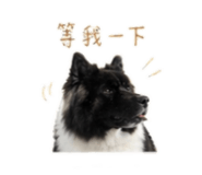 844769304