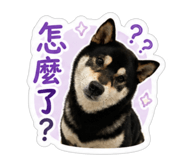 844769341