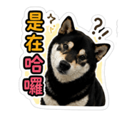 844769353
