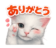 844770132