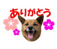 844770250