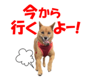 844770255