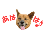 844770256
