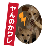 844770944