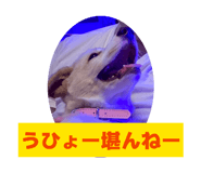 844770947