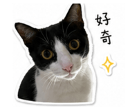 844771459
