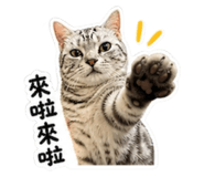 844771725