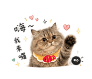 844772293