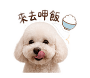 844773355