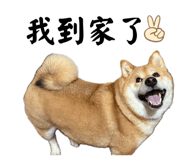 844773788