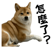 844773789
