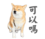844773795