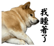844773796