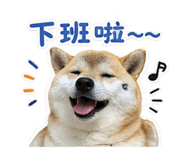 844774697