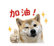844774698