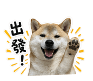844774699