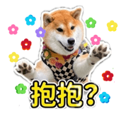 844774811
