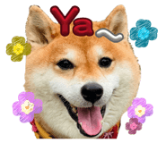 844774812