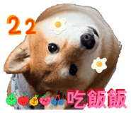 844774822