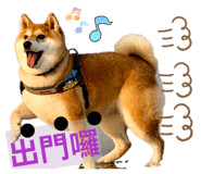 844774827