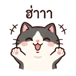 844775185