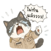 844775669
